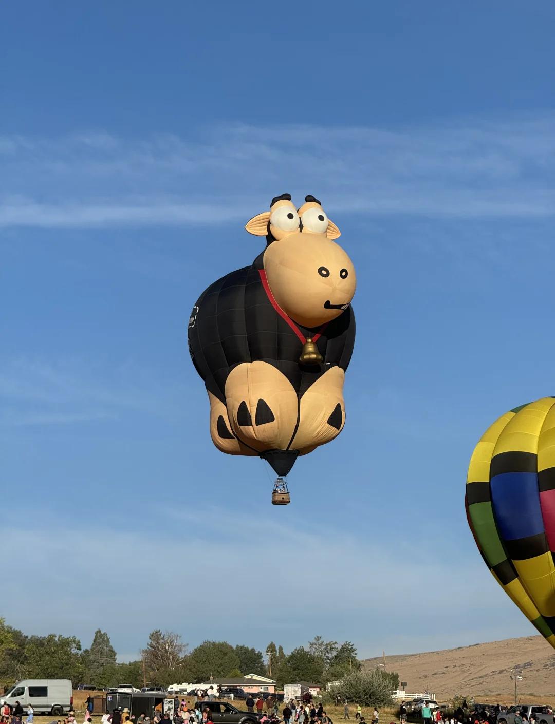 爱游戏中国官方网站平台-关于热气球大赛：天空中的视觉盛宴的信息