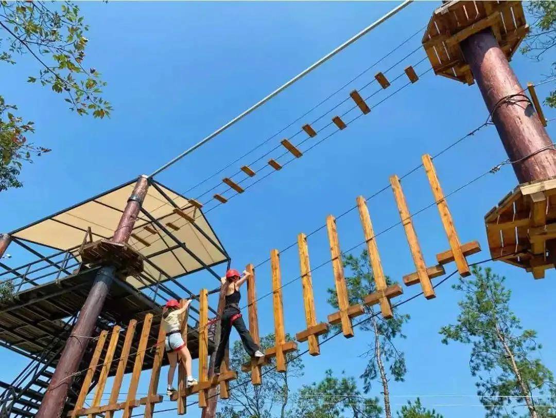 爱游戏官方网站-山野术士跑，迷宫探险与挑战极限的简单介绍