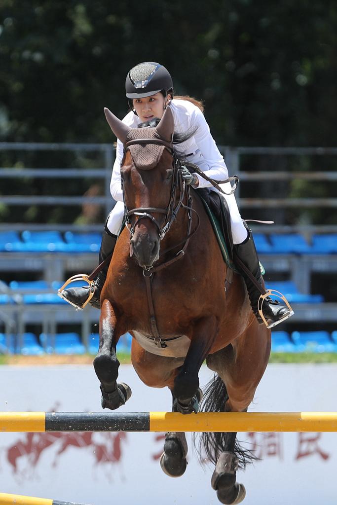 马术障碍赛,优雅骑手的速度较量 马术障碍赛,优雅骑手的速度较量