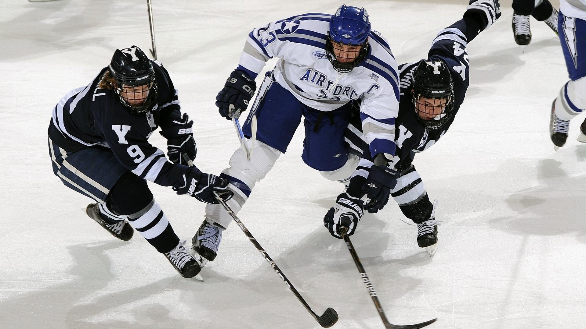 AYX体育官网-千叶喷射机防守体系日益完善，日本千叶喷气机篮球队