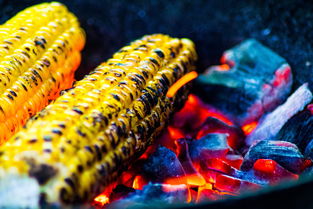 AYX官网-运动饮食干预对运动表现的促进研究，举例阐述饮食运动对健康的意义