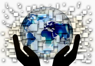 爱游戏app下载-国家滑板协会公布全国青少年排名更新机制，国家滑板队训练中心